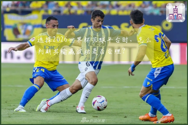 选择2026世界杯买球平台时,怎么判断其输赢波动是否合理?