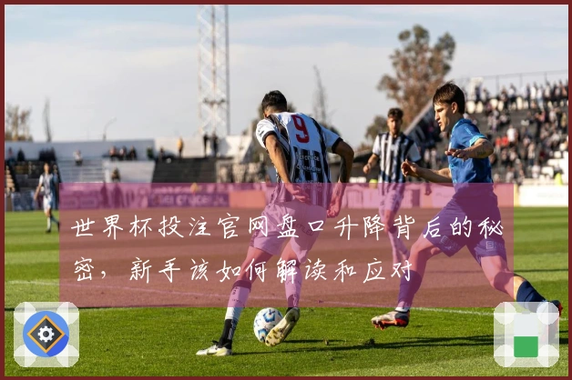 世界杯投注官网盘口升降背后的秘密，新手该如何解读和应对