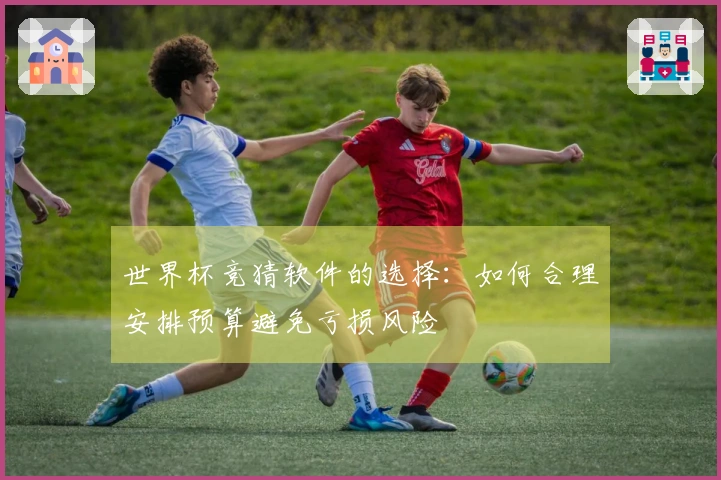 世界杯竞猜软件的选择:如何合理安排预算避免亏损风险