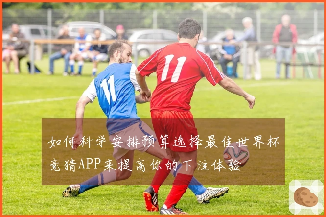 如何科学安排预算选择最佳世界杯竞猜APP来提高你的下注体验