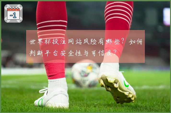 世界杯投注网站风险有哪些？如何判断平台安全性与可信度？
