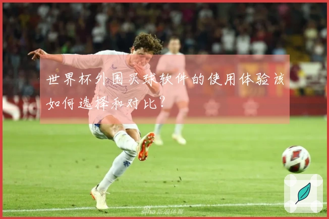 世界杯外围买球软件的使用体验该如何选择和对比?