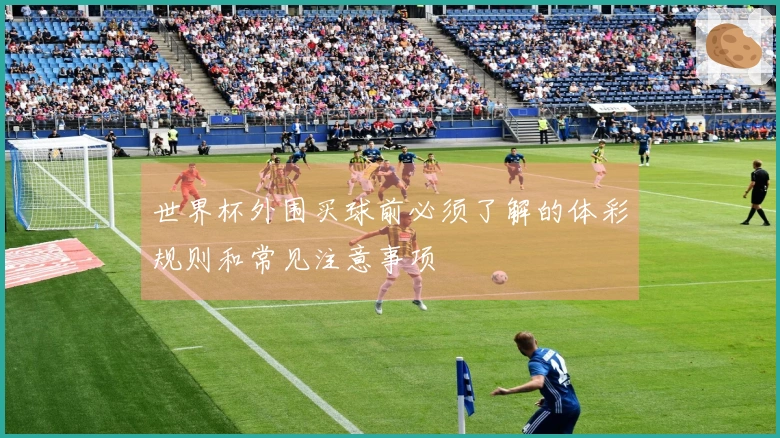 世界杯外围买球前必须了解的体彩规则和常见注意事项