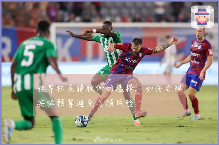 世界杯竞猜软件的选择：如何合理安排预算避免亏损风险