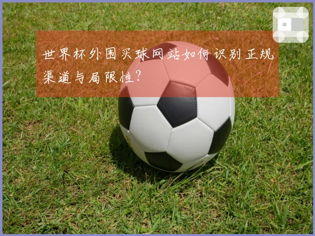 世界杯外围买球网站如何识别正规渠道与局限性？