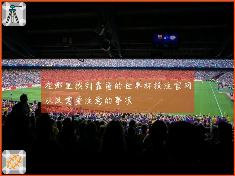 在哪里找到靠谱的世界杯投注官网以及需要注意的事项