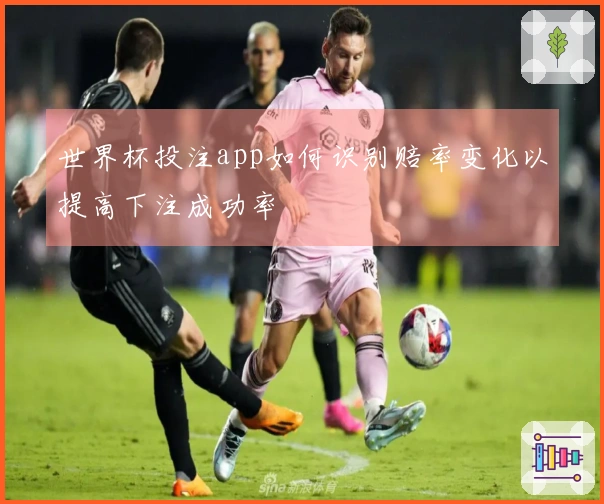 世界杯投注app如何识别赔率变化以提高下注成功率