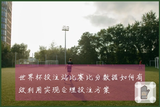 世界杯投注站比赛比分数据如何有效利用实现合理投注方案
