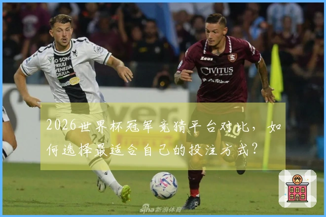 2026世界杯冠军竞猜平台对比，如何选择最适合自己的投注方式？