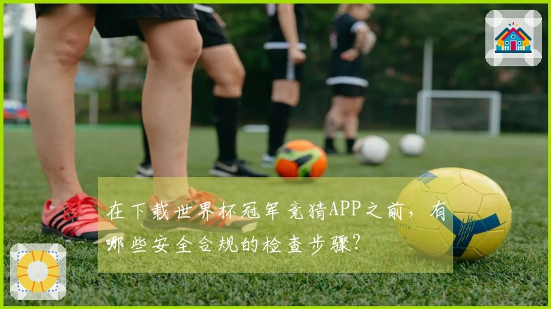 在下载世界杯冠军竞猜APP之前，有哪些安全合规的检查步骤？