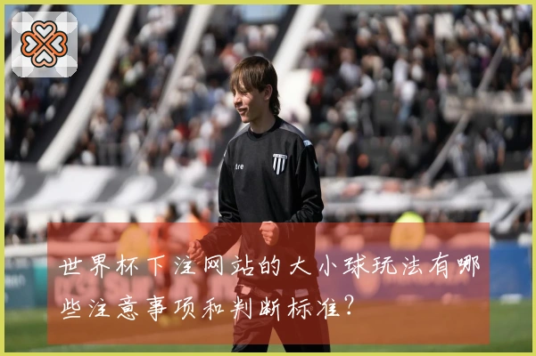 世界杯下注网站的大小球玩法有哪些注意事项和判断标准？