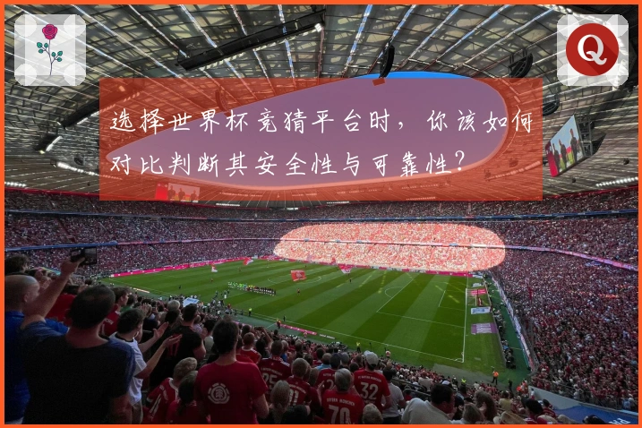 选择世界杯竞猜平台时,你该如何对比判断其安全性与可靠性?