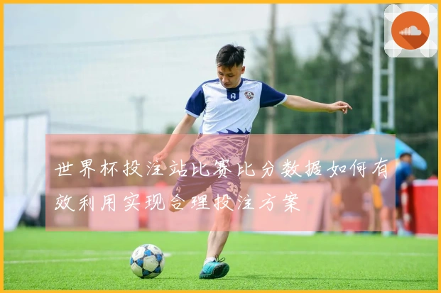 世界杯投注站比赛比分数据如何有效利用实现合理投注方案