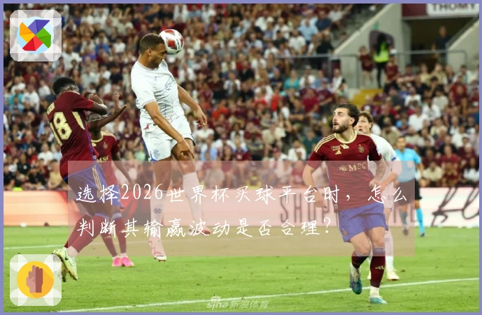 选择2026世界杯买球平台时，怎么判断其输赢波动是否合理？