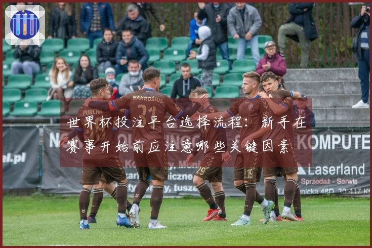 世界杯投注平台选择流程：新手在赛事开始前应注意哪些关键因素