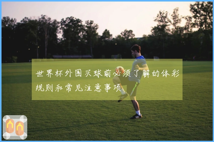 世界杯外围买球前必须了解的体彩规则和常见注意事项