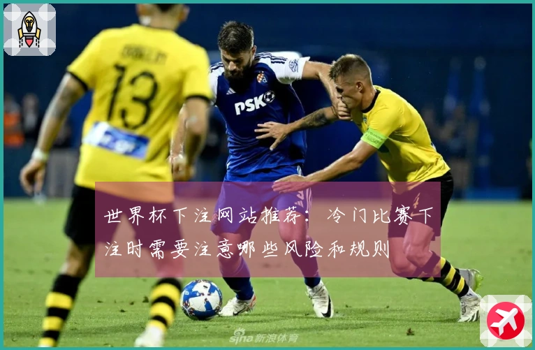 世界杯下注网站推荐：冷门比赛下注时需要注意哪些风险和规则