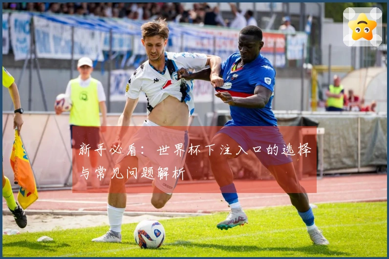 新手必看：世界杯下注入口的选择与常见问题解析