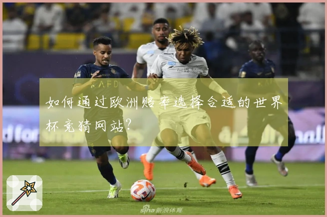 如何通过欧洲赔率选择合适的世界杯竞猜网站？