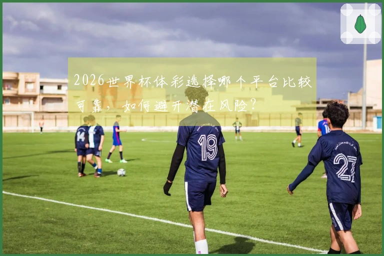 2026世界杯体彩选择哪个平台比较可靠，如何避开潜在风险？