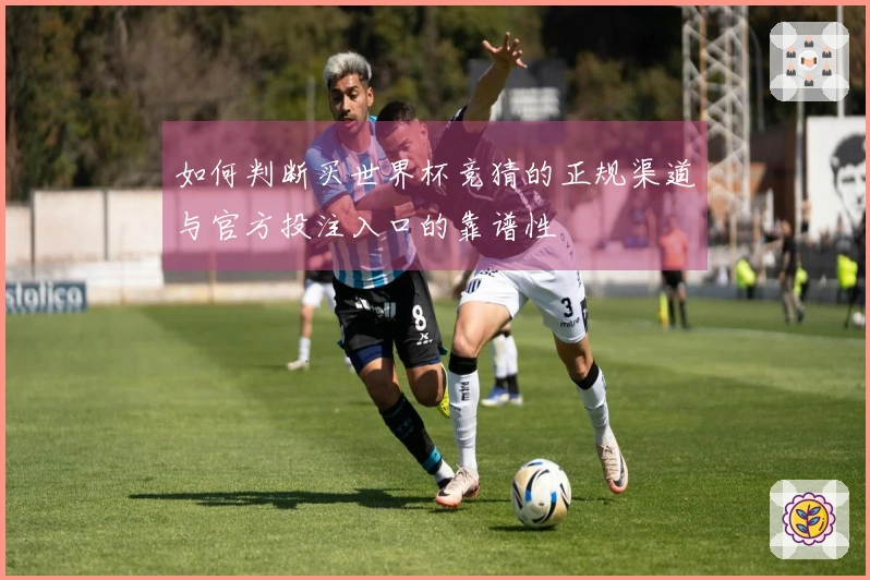 如何判断买世界杯竞猜的正规渠道与官方投注入口的靠谱性