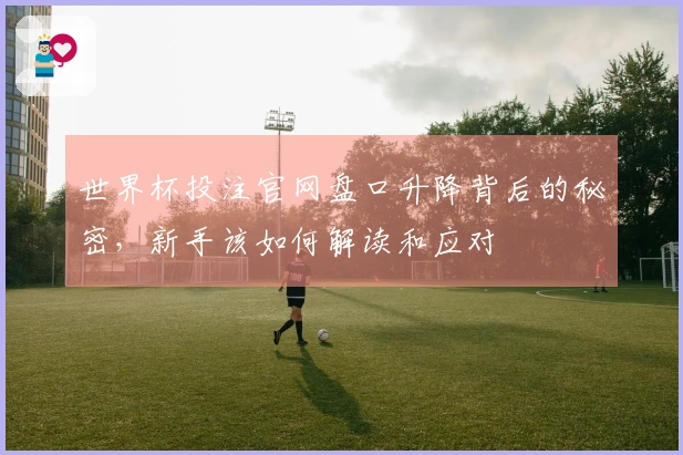 世界杯投注官网盘口升降背后的秘密，新手该如何解读和应对