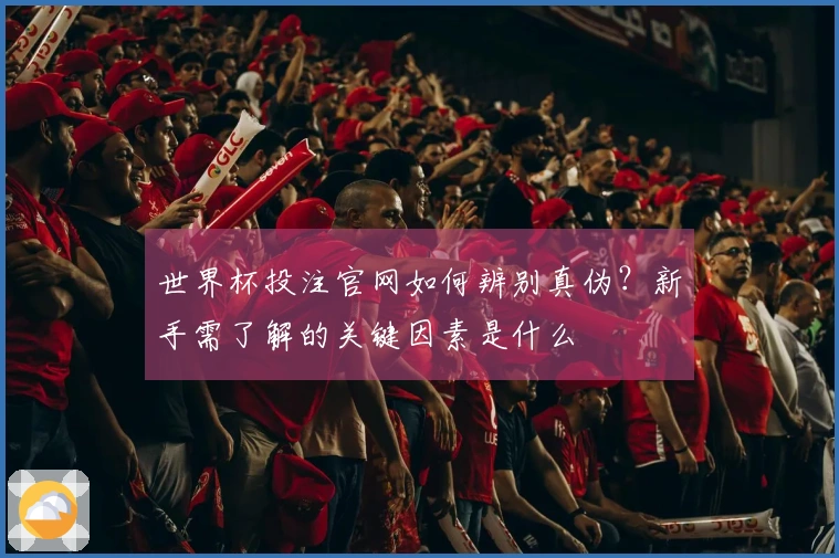 世界杯投注官网如何辨别真伪?新手需了解的关键因素是什么