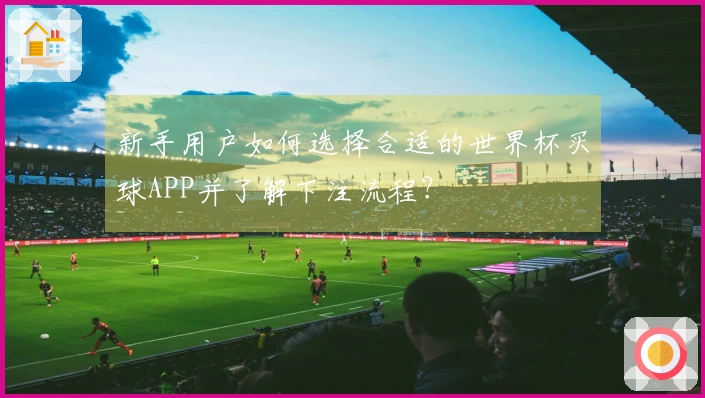 新手用户如何选择合适的世界杯买球APP并了解下注流程?