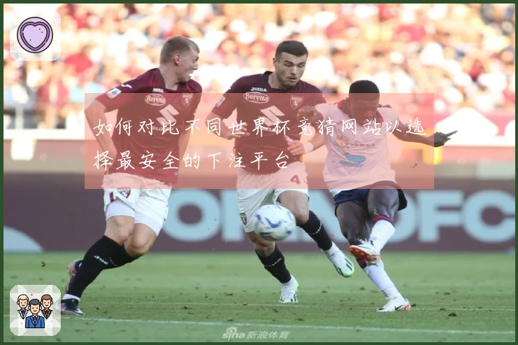 如何对比不同世界杯竞猜网站以选择最安全的下注平台